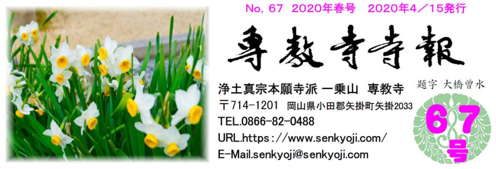 専教寺寺報2020年春号